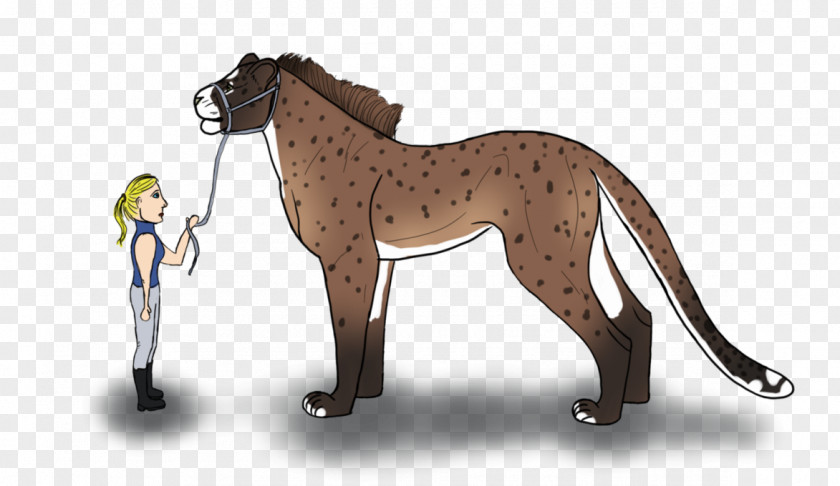 Lion Stallion Foal Mustang Pony PNG