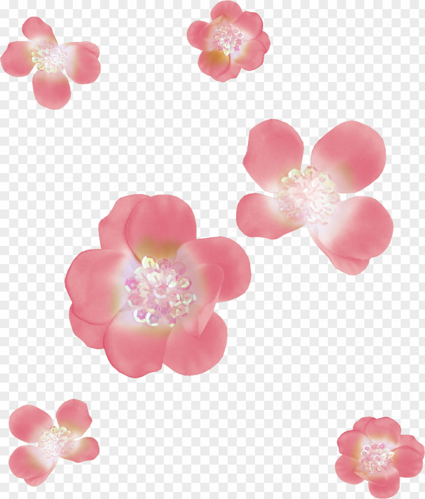 Pearls Flower Cherry Blossom Petal Clip Art PNG