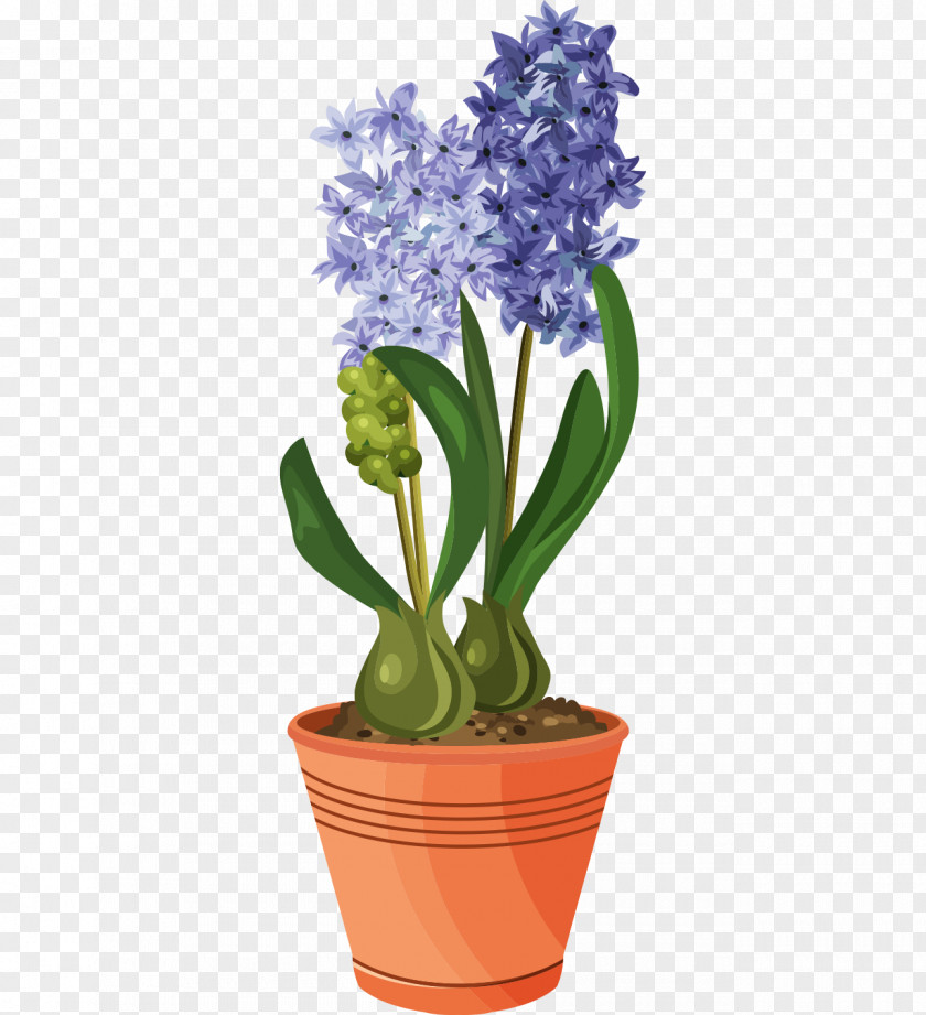 Vintage Floral Design Flowering Pot Plants Vector Graphics Clip Art Tulip PNG