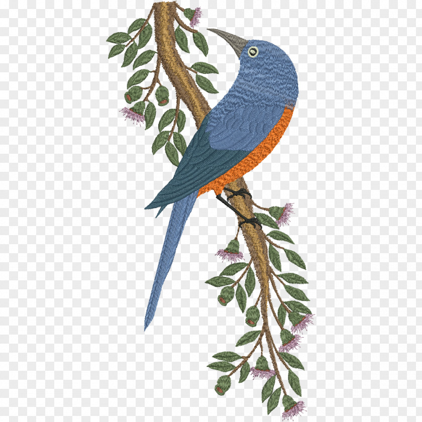 Bird Parrot Machine Embroidery Macaw PNG