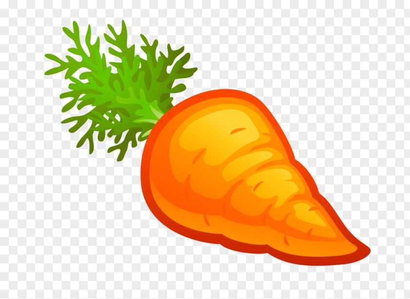 Carrot Vegetable Orange S.A. Fruit Tangerine PNG