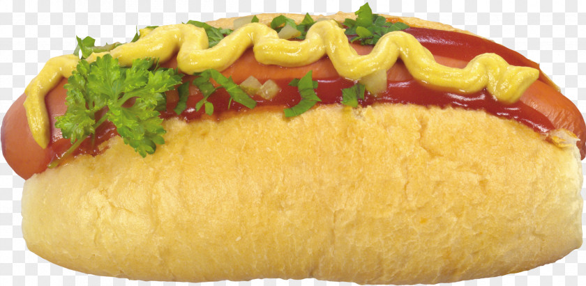 Hot Dog Fast Food Junk Hamburger French Fries PNG