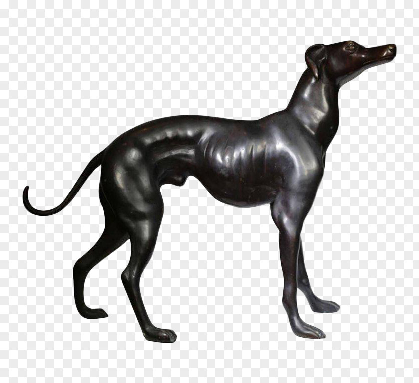 Italian Greyhound Spanish Sloughi Whippet PNG