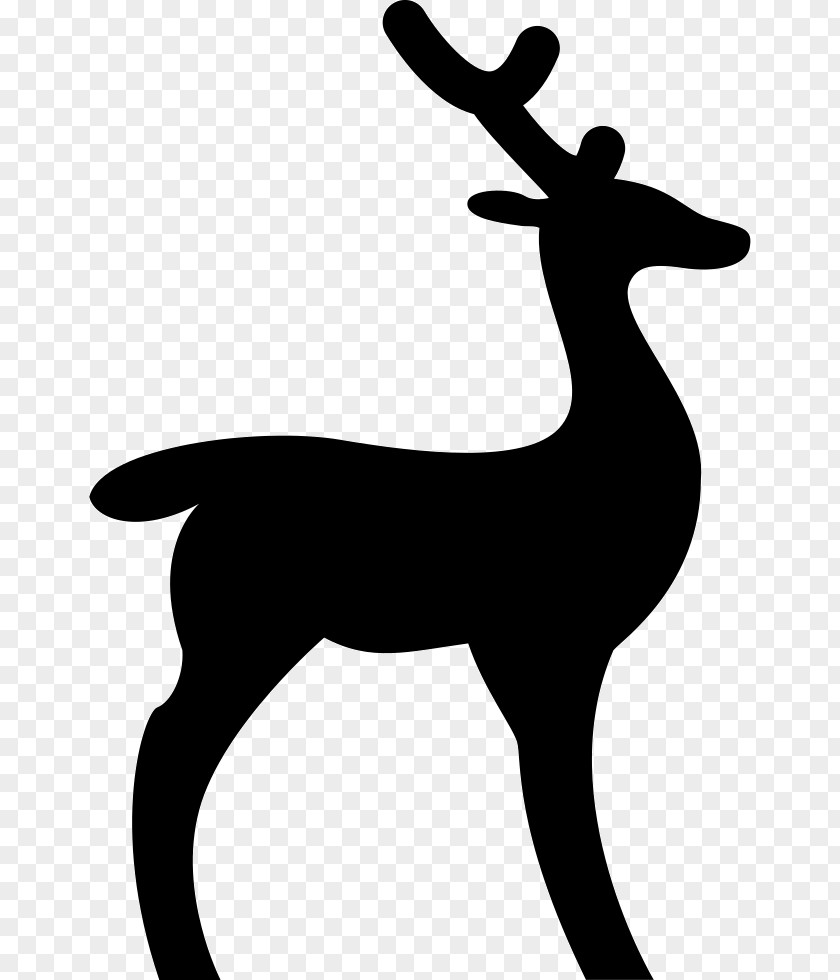 Reindeer Deer Hunting White-tailed PNG