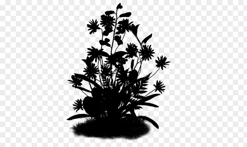 Silhouette Flower Shadow Play PNG