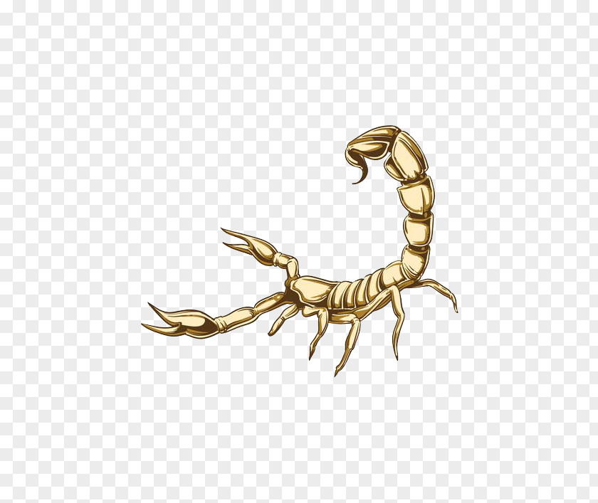 Yellow Painted Scorpion Design Decal Illustration PNG