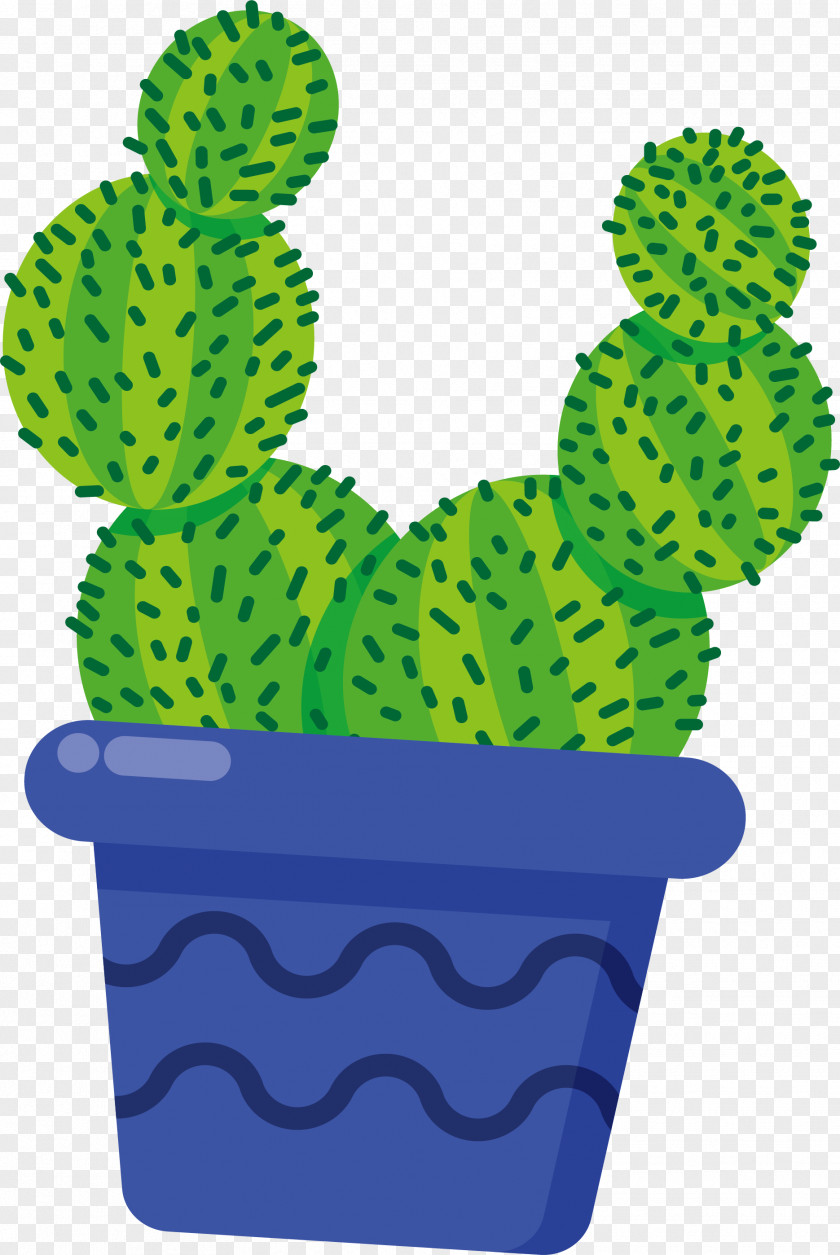 Blue Cactus Cactaceae Flowerpot PNG
