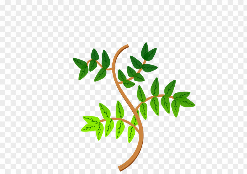 Branch Leaves Cliparts Leaf Tree Clip Art PNG