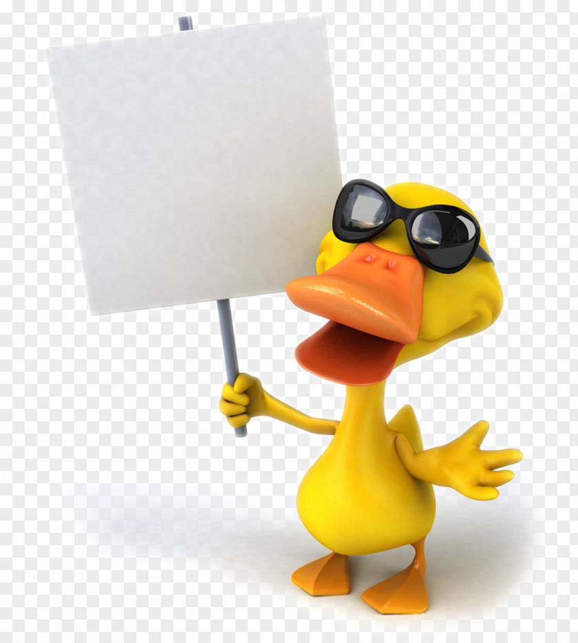 Cartoon Duck Pictures Mallard Stock Photography Drawing PNG