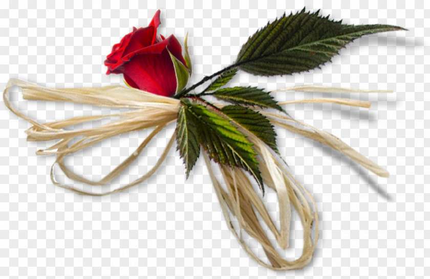 Cut Flowers Pin Clothing Accessories .de PNG