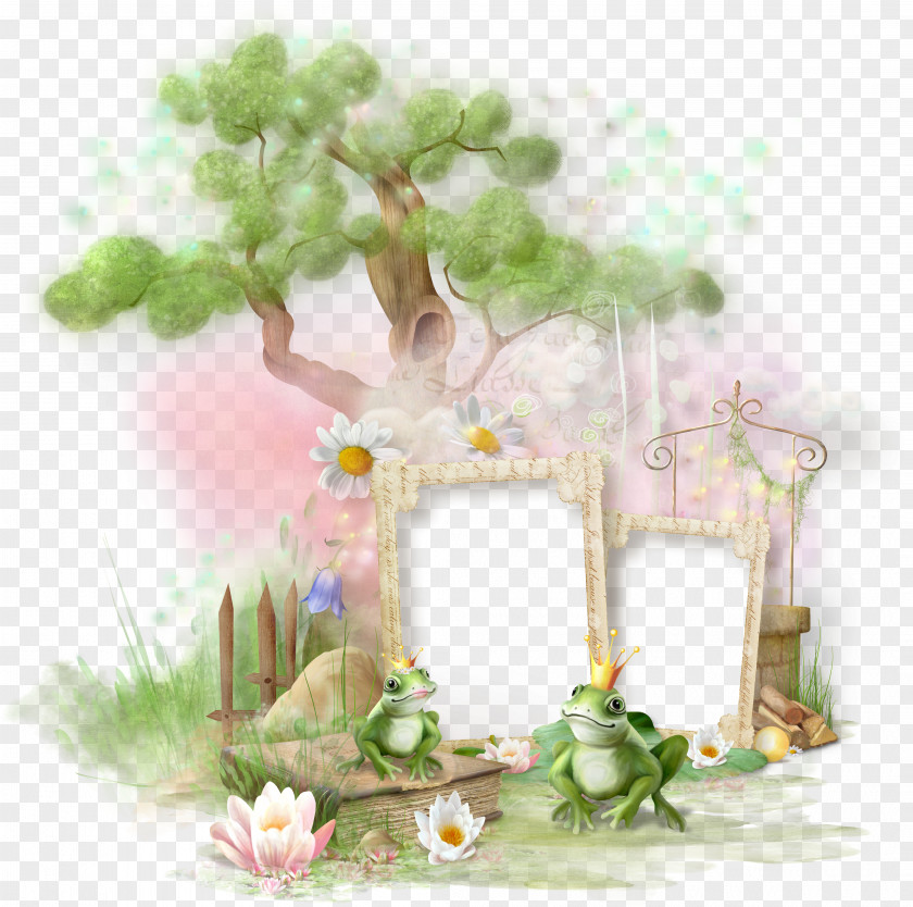 Decorative Frames Tree Frog PlayStation Portable Clip Art PNG