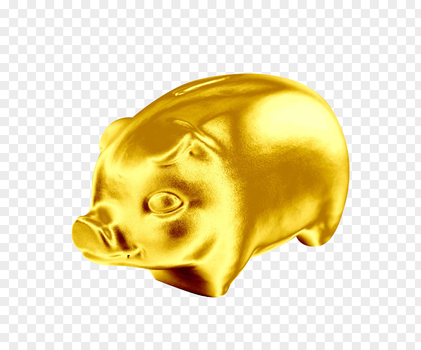 Golden Pig Domestic Fabao Feedstuff Gold Coin PNG