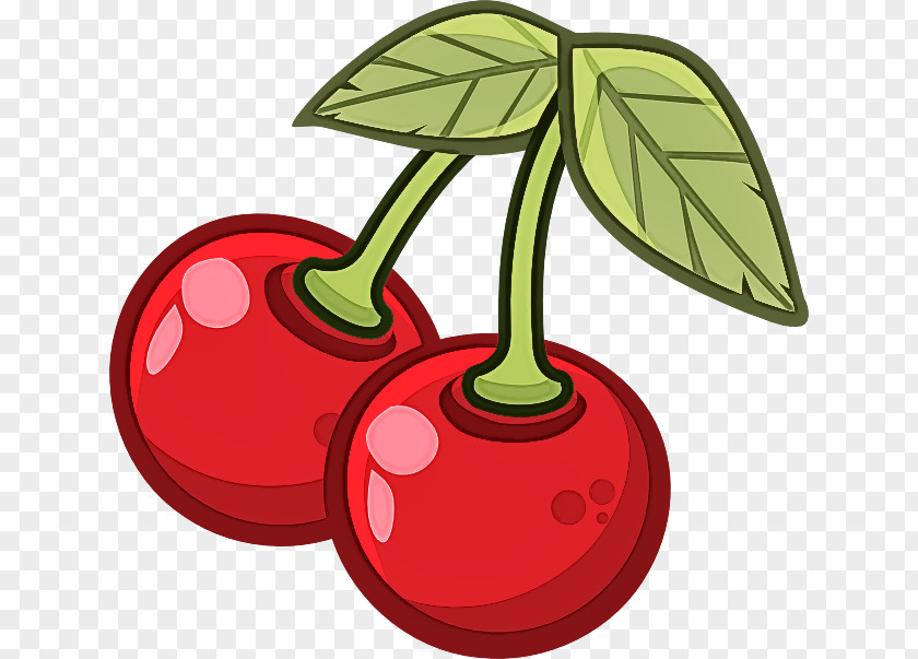 Red Leaf Cherry Tree Plant PNG