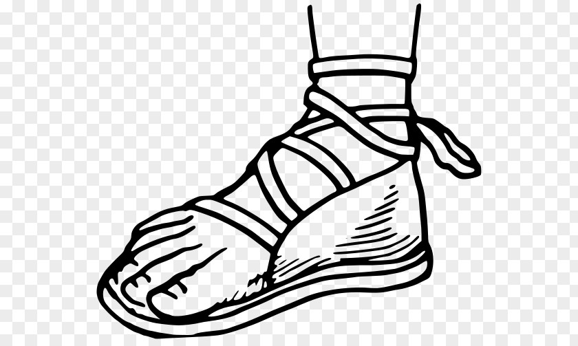 Sandal Drawing Sneakers Clip Art PNG