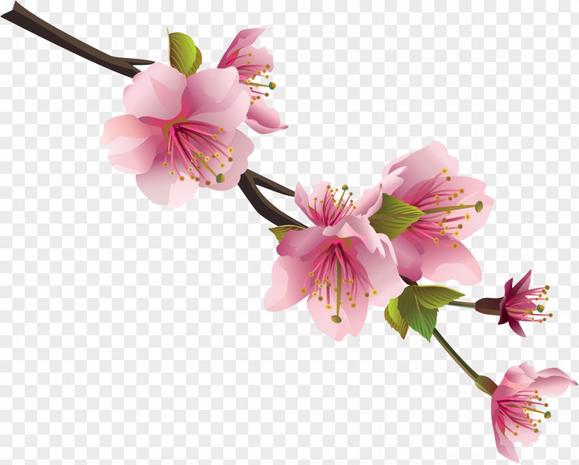 Spring Flower Clip Art PNG