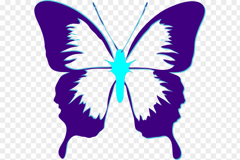 Teal Butterfly Clip Art PNG