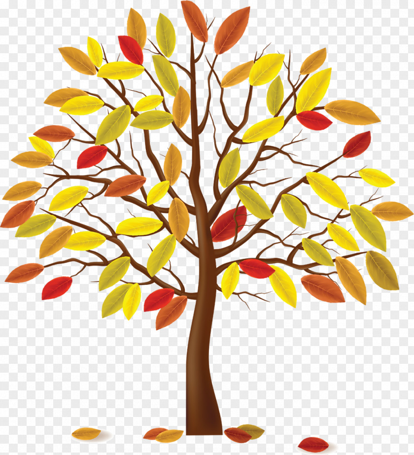 Autumn The Four Seasons Tree PNG
