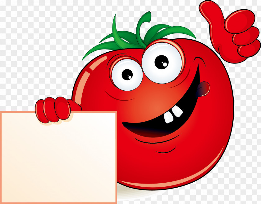 Cartoon Tomato Vector Vegetable Fruit Illustration PNG