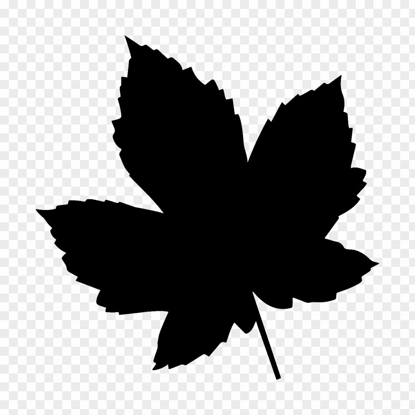 Flowering Plant Logo Maple Leaf PNG