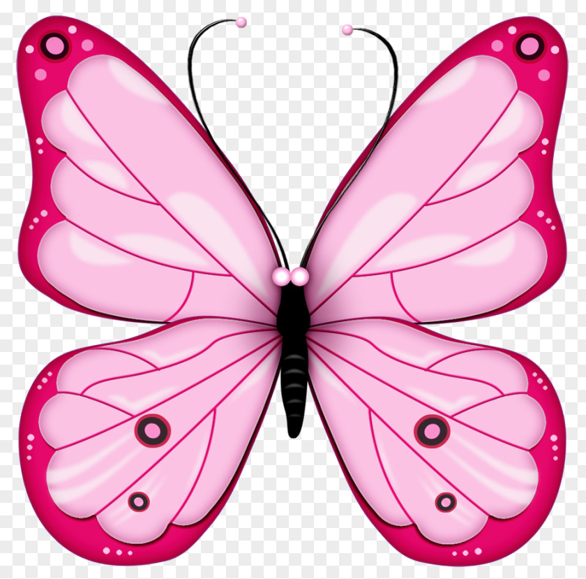 Free Cliparts Butterflies Butterfly Transparency And Translucency Clip Art PNG