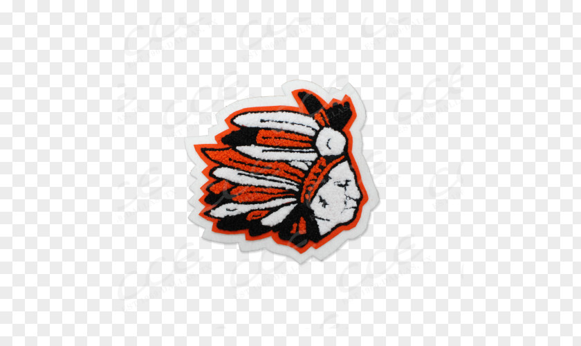 Indian Mascot Insect Logo Sticker Font PNG