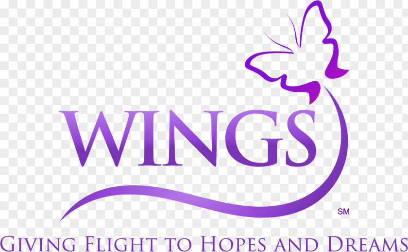 Team Building WINGS Program, Inc. Elk Grove Village Palatine Company Home PNG