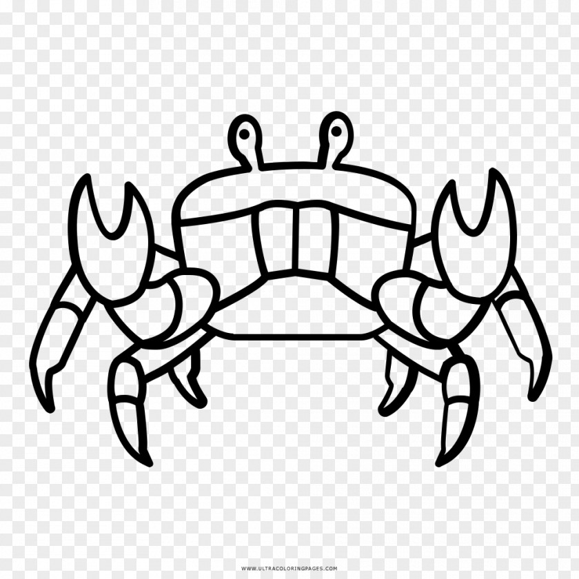 Crab Black And White Drawing Coloring Book PNG