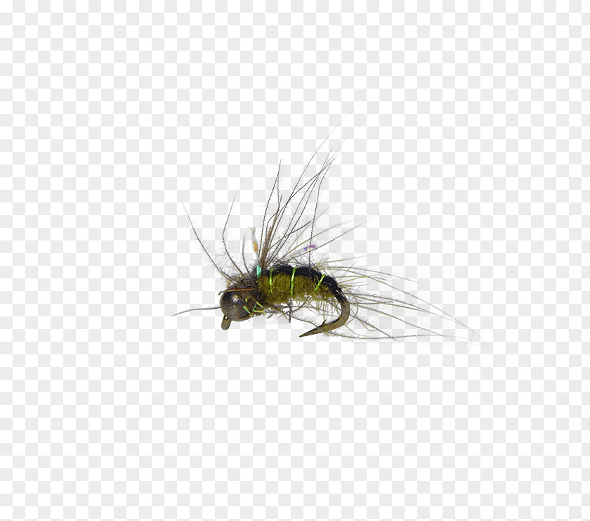Flying Nymph Artificial Fly Pupa Caddisfly Fishing PNG