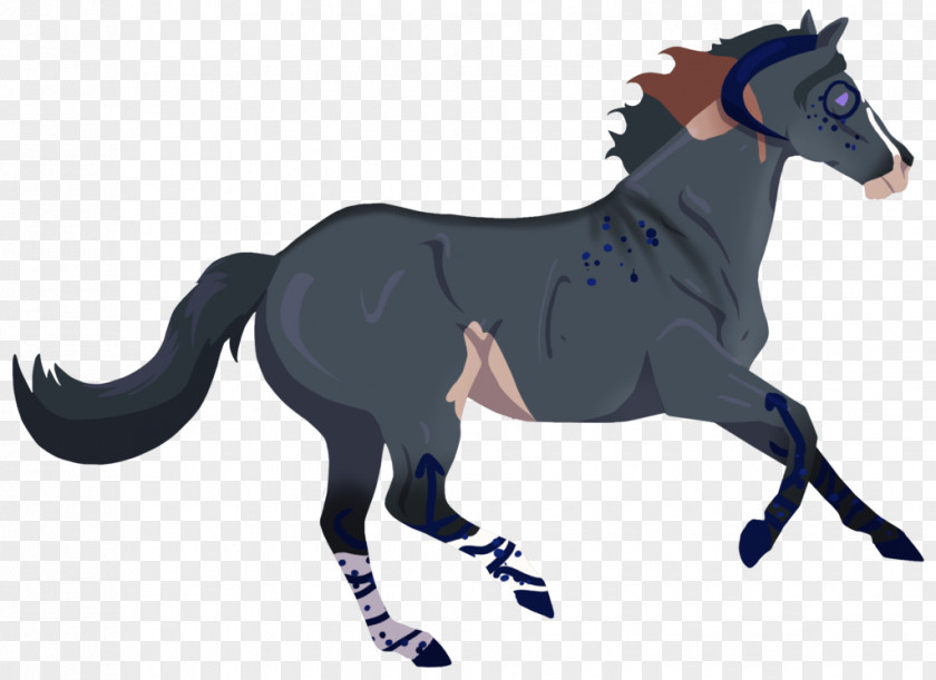 Mustang Pony Stallion Rein Mane PNG