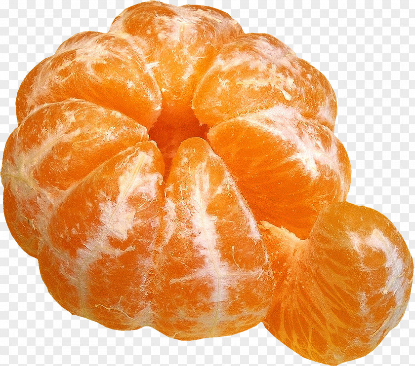 Orange Juice Mandarin Tangerine Satsuma Fruit Salad PNG