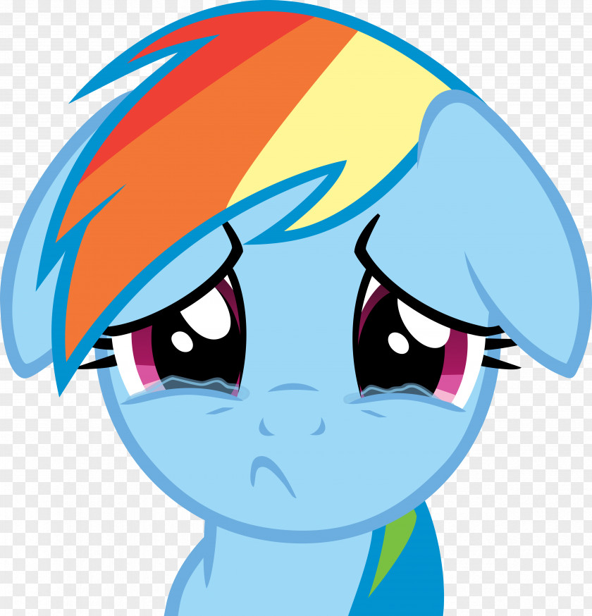 Rainbow Dash Pinkie Pie Rarity Applejack Pony PNG