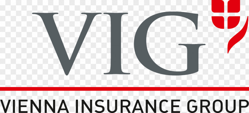 Vienna Insurance Group Assurer Budget Direct PNG