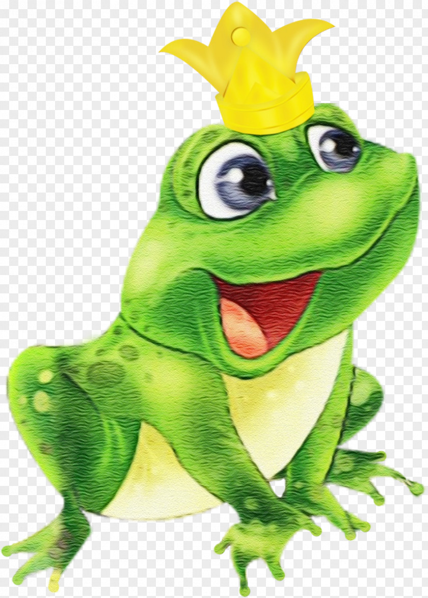 Hyla Shrub Frog Green Cartoon Tree PNG