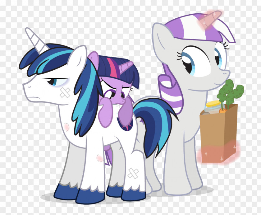 Lotus Close Princess Cadance Twilight Sparkle Rarity Queen Chrysalis Equestria Daily PNG