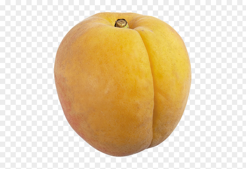 Peach Calabaza Winter Squash Gourd Cucurbita PNG