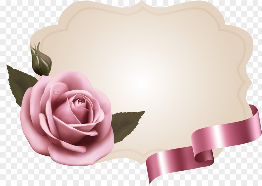 Photo Frames Garden Roses Pink Paper Flower PNG