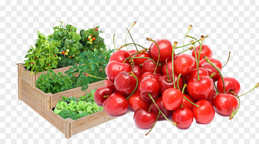 Cherry And Flowers Terrace Garden Raised-bed Gardening Fence PNG