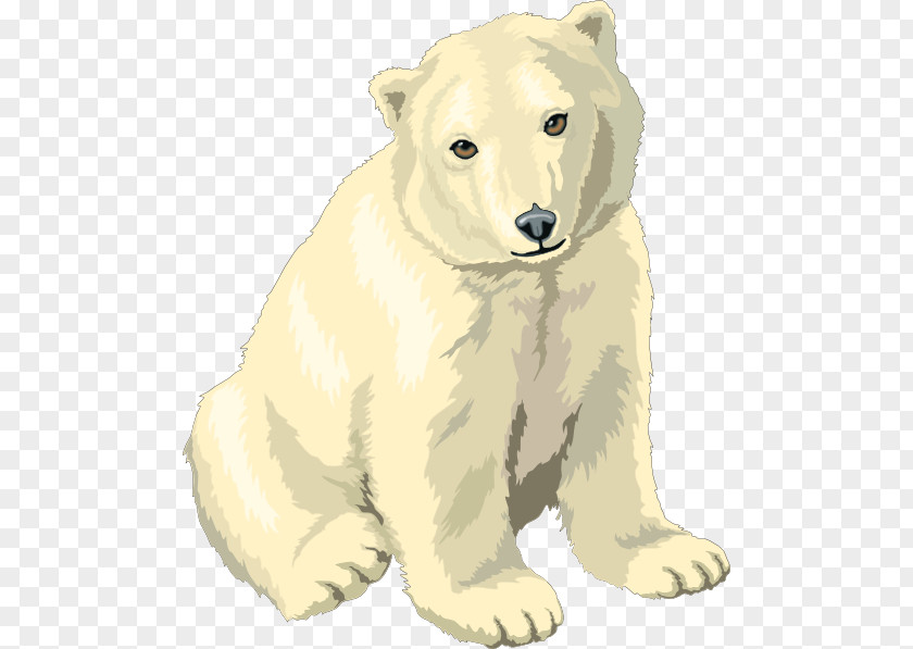 Cub Cliparts Polar Bear Giant Panda Clip Art PNG