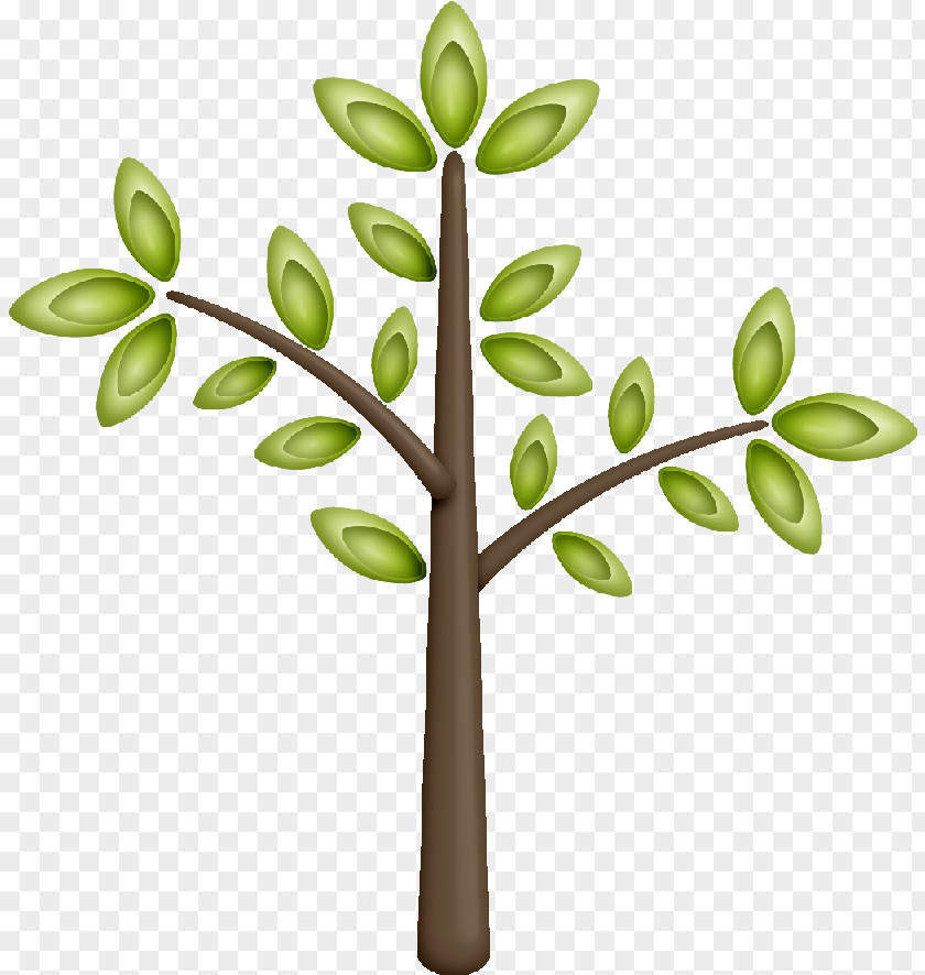 Tree Twig Branch Leaf Plant PNG