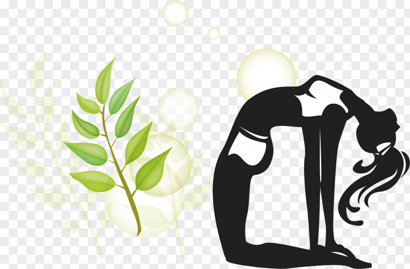 Yoga Movement Silhouette Female Physical Fitness PNG