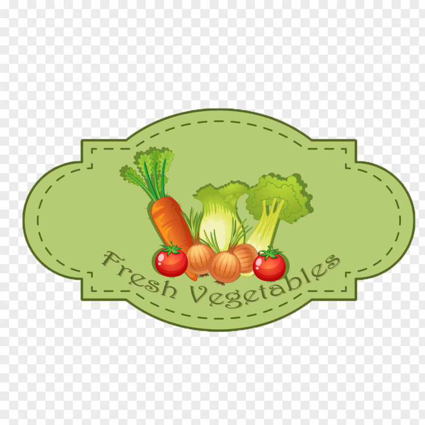 Fruits And Vegetables Tag Cabbage Vegetable Icon PNG