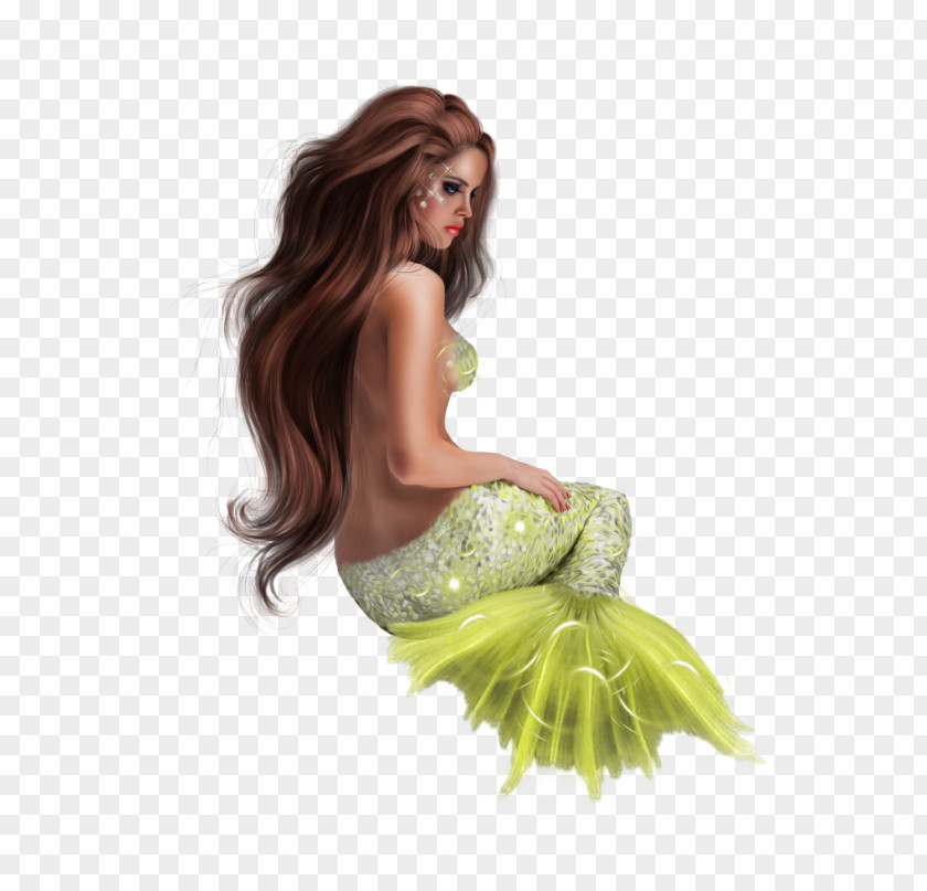 Mermaid Fairy Merman Legendary Creature Siren PNG