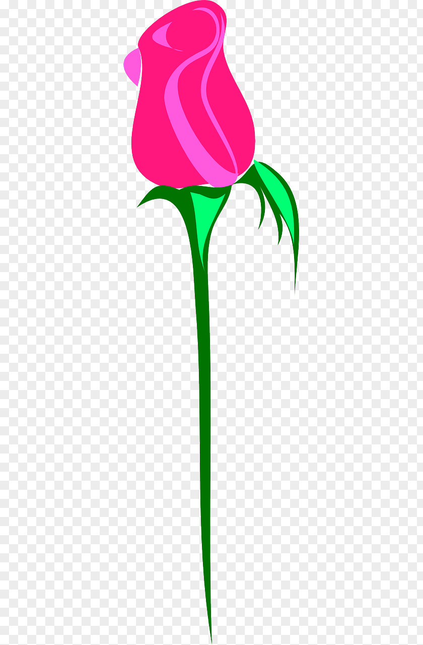 Rose Tattoo Flower Bud Clip Art PNG
