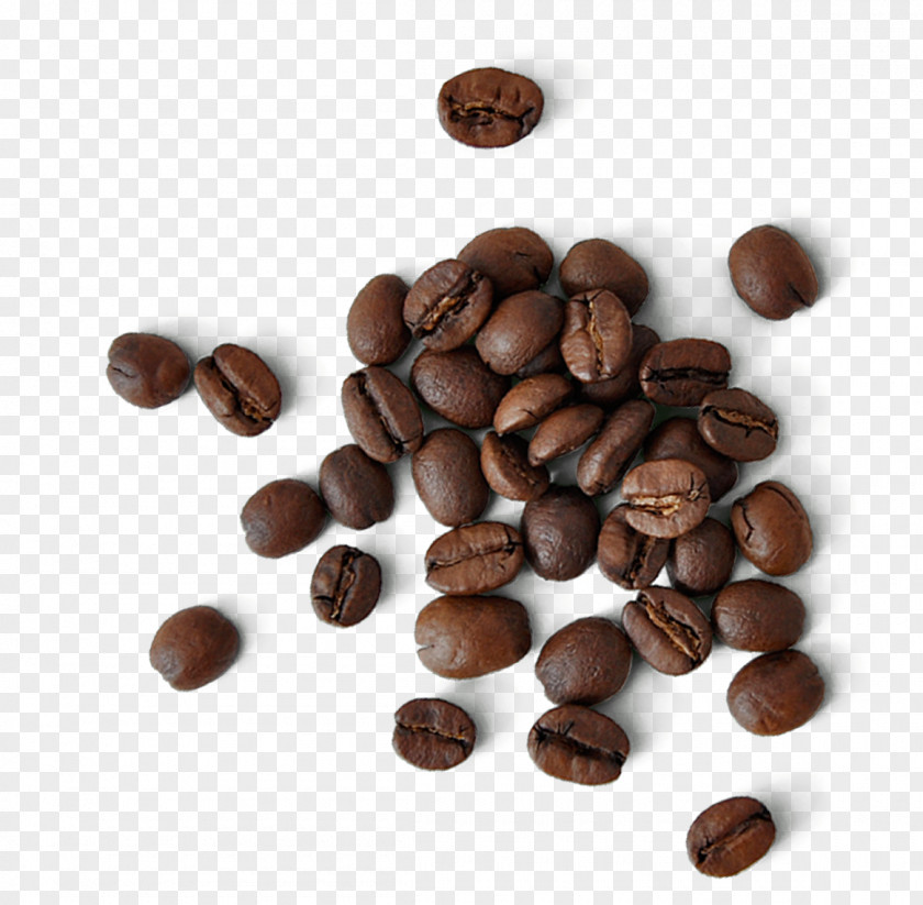 Coffee Beans Shading Jamaican Blue Mountain Kona Bills East Orange Restaurant PNG