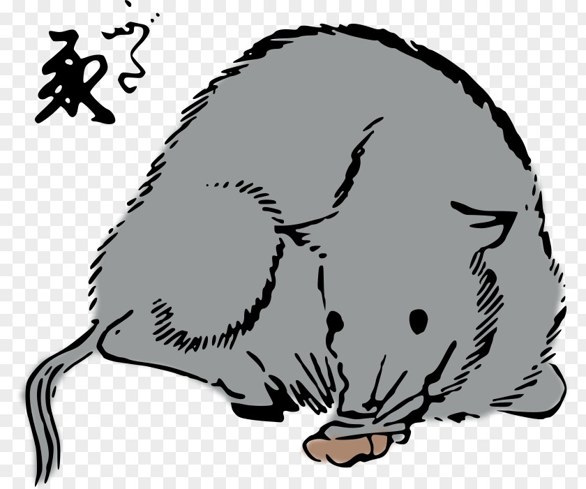 Rat Mouse Whiskers Cat Clip Art PNG