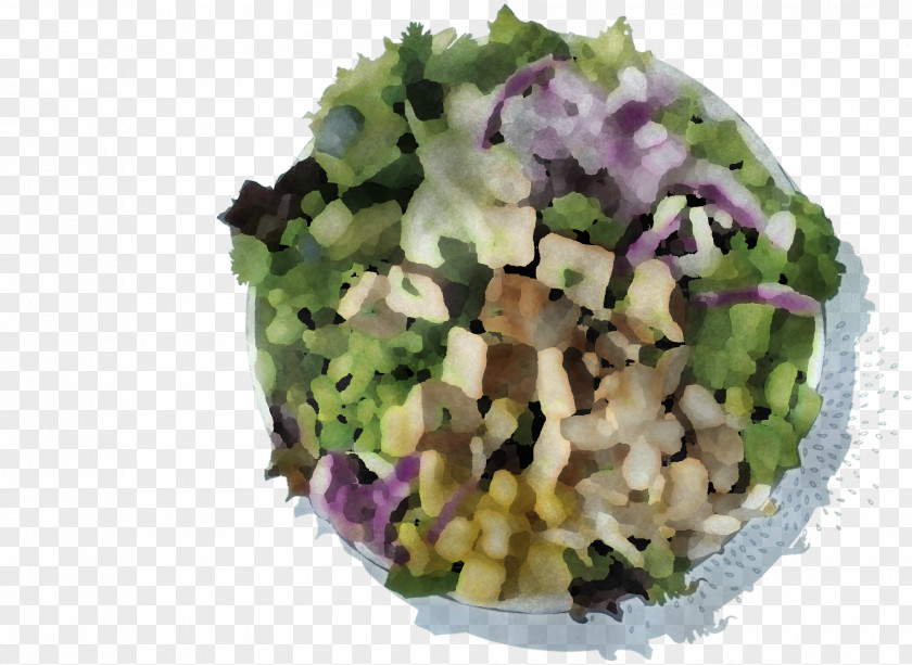 Salad PNG