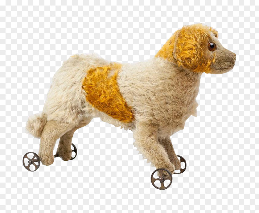 Standard Poodle Miniature Dog Breed Companion PNG