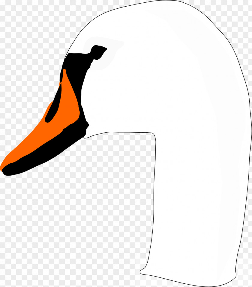 Swan Cygnini Bird Duck Beak Clip Art PNG