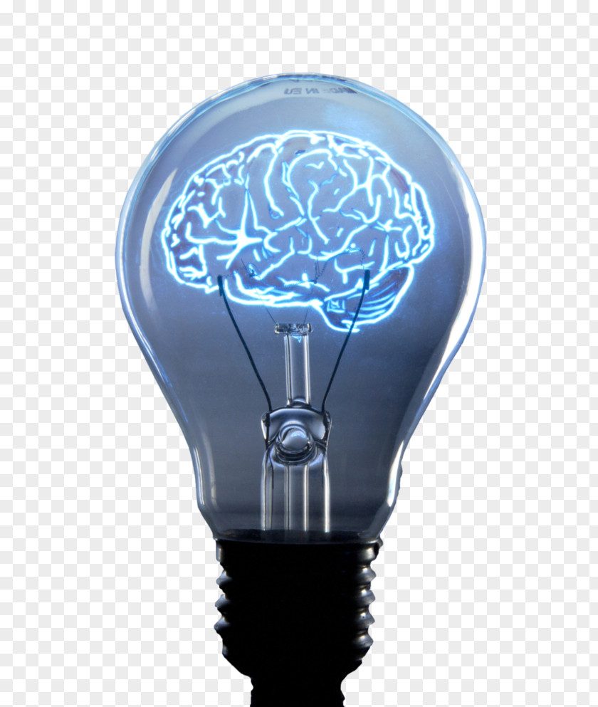Brain Lamp Art Incandescent Light Bulb Drawing Stock Photography PNG