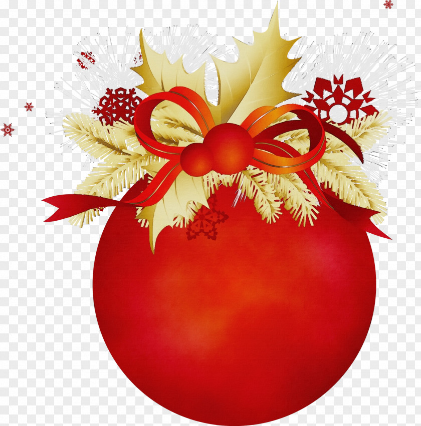 Christmas Plant Ornament PNG